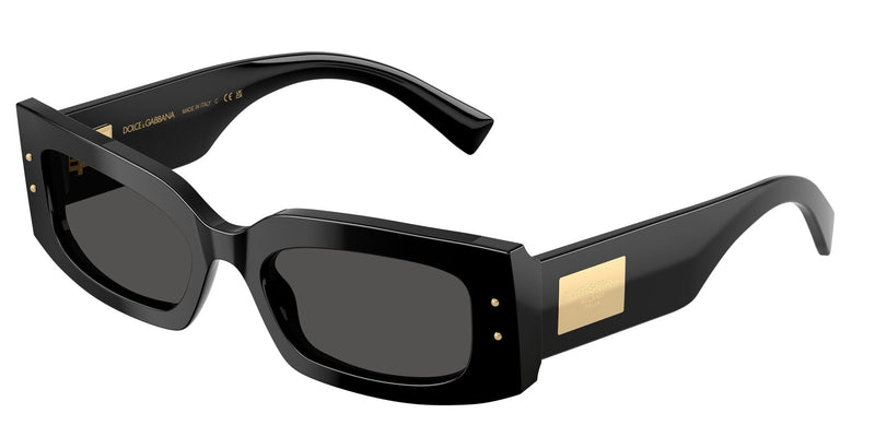 Load image into Gallery viewer, Dolce & Gabbana DG4479 502/73/55 Ladies Sunglasses
