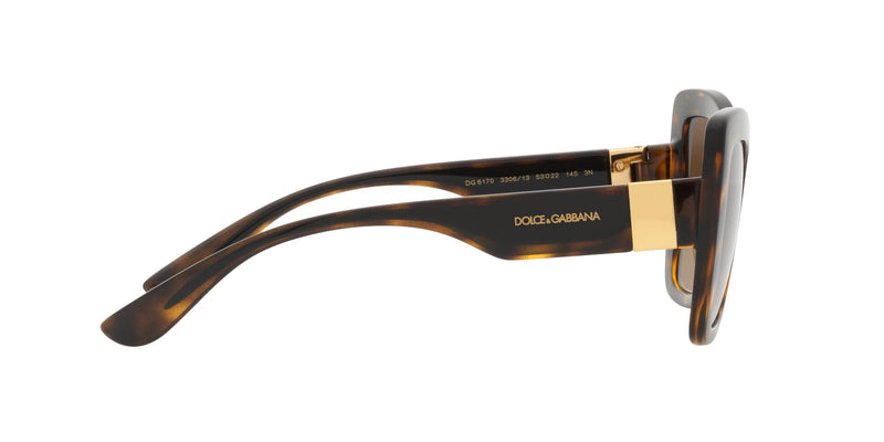 Load image into Gallery viewer, Dolce & Gabbana DG6170 Ladies Sunglasses