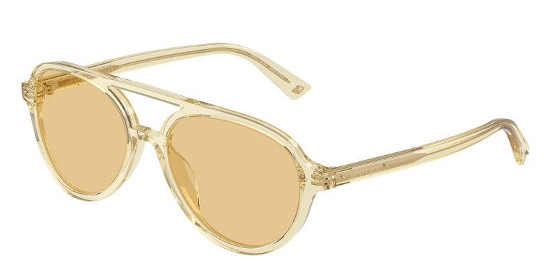 Load image into Gallery viewer, Jimmy Choo JC5055U 50008755 Ladies Sunglasses