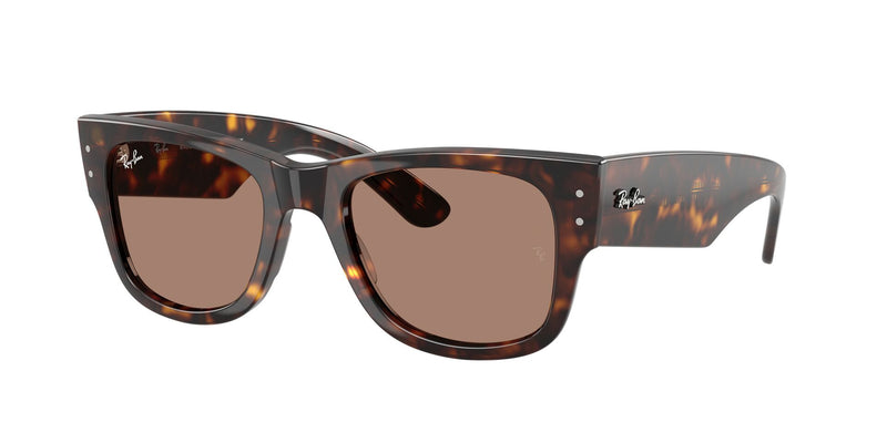 Load image into Gallery viewer, Ray-Ban RB0840S 51 Unisex Sunglasses