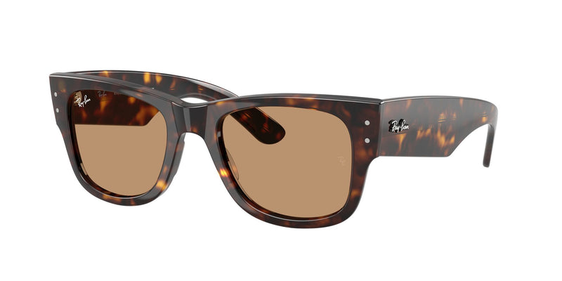 Load image into Gallery viewer, Ray-Ban RB0840S 51 Unisex Sunglasses