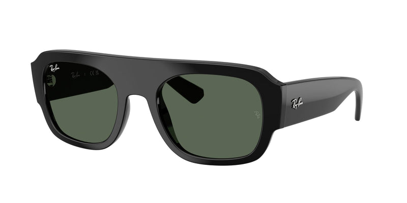 Load image into Gallery viewer, Ray-Ban RB2218 55 Unisex Sunglasses