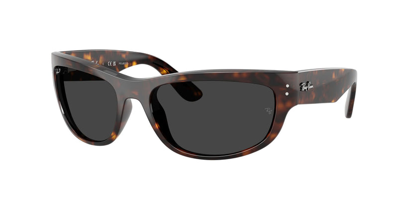 Load image into Gallery viewer, Ray-Ban RB2289 60 Unisex Sunglasses