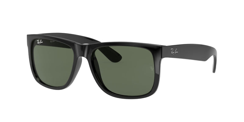Load image into Gallery viewer, Ray-Ban RB4165 55 Gents Sunglasses