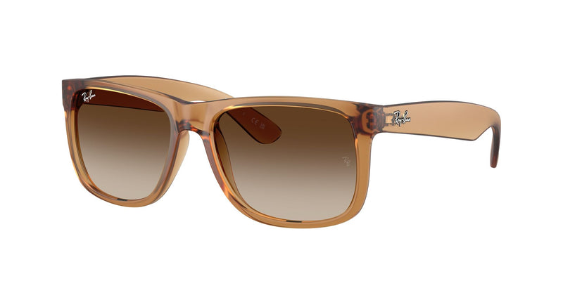 Load image into Gallery viewer, Ray-Ban RB4165 55 Gents Sunglasses