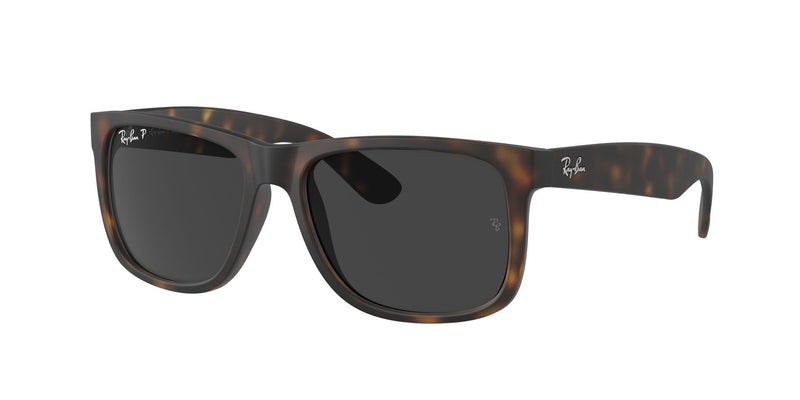 Load image into Gallery viewer, Ray-Ban RB4165 55 Gents Sunglasses