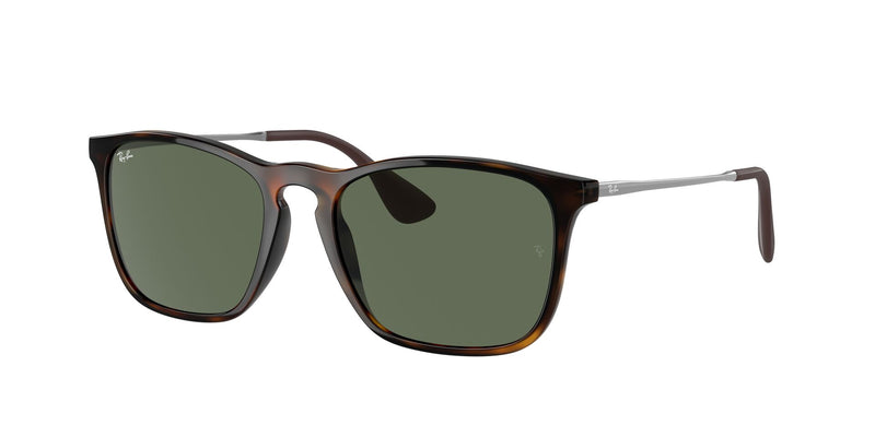 Load image into Gallery viewer, Ray-Ban RB4187 54 Gents Sunglasses