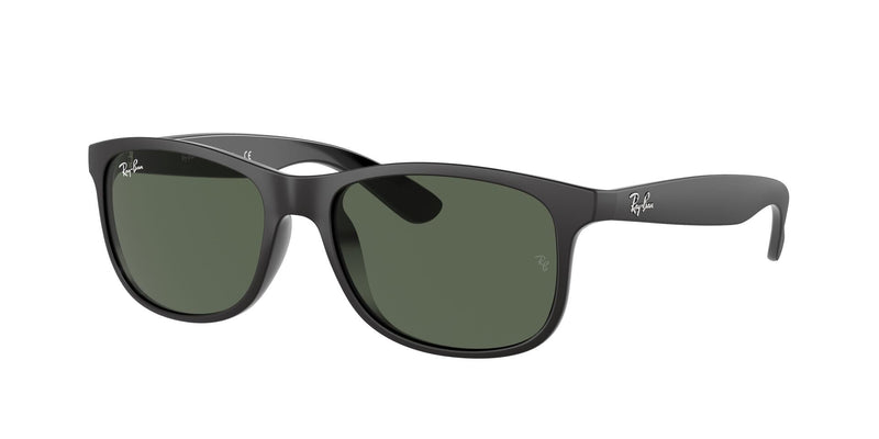 Load image into Gallery viewer, Ray-Ban RB4202 55 Gents Sunglasses