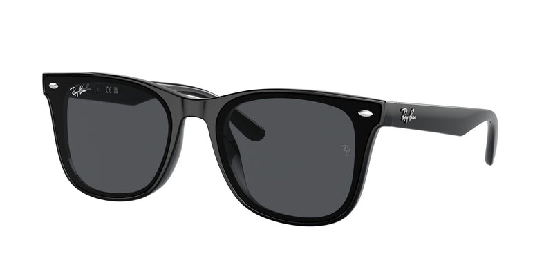 Load image into Gallery viewer, Ray-Ban RB4420 65 Unisex Sunglasses
