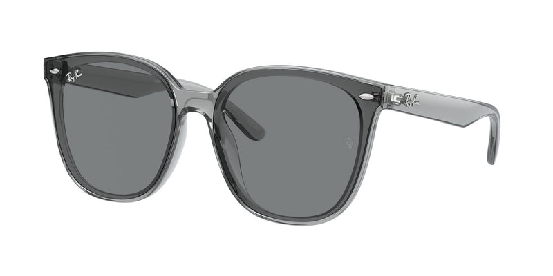 Load image into Gallery viewer, Ray-Ban RB4423D 66 Unisex Sunglasses