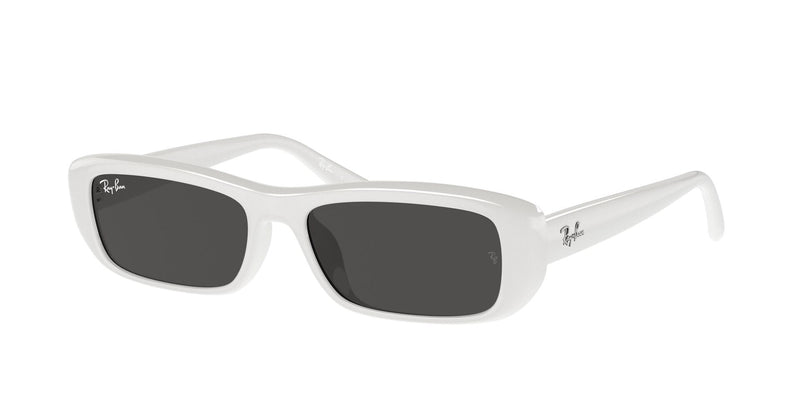 Load image into Gallery viewer, Ray-Ban RB4436D 55 Unisex Sunglasses
