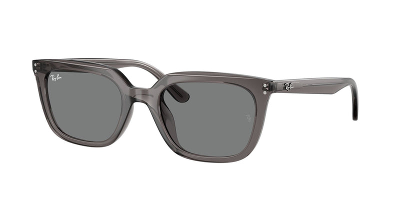 Load image into Gallery viewer, Ray-Ban RB4439D 54 Unisex Sunglasses