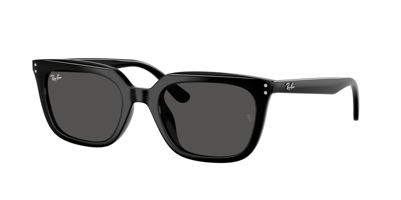 Load image into Gallery viewer, Ray-Ban RB4439D 54 Unisex Sunglasses
