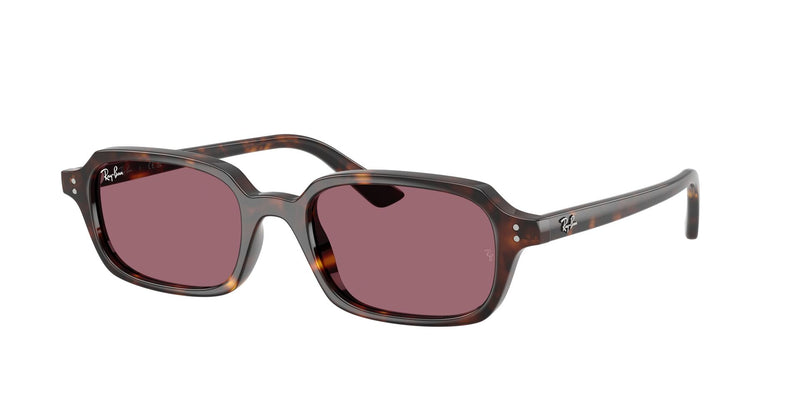 Load image into Gallery viewer, Ray-Ban RB4455 52 Unisex Sunglasses