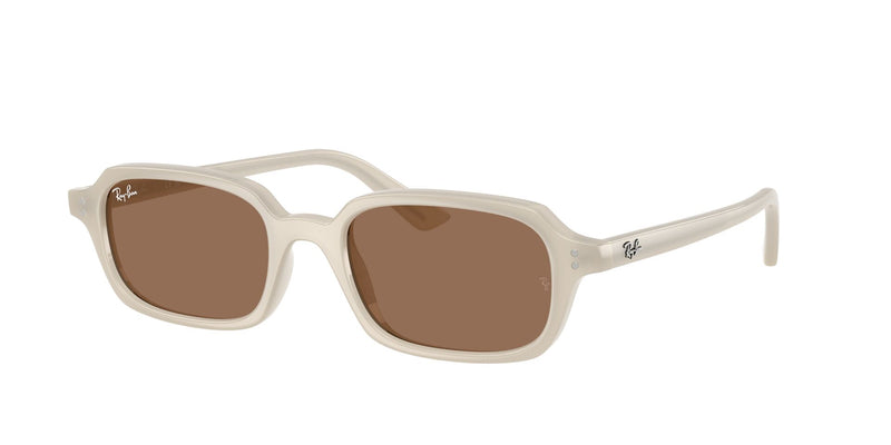 Load image into Gallery viewer, Ray-Ban RB4455 52 Unisex Sunglasses