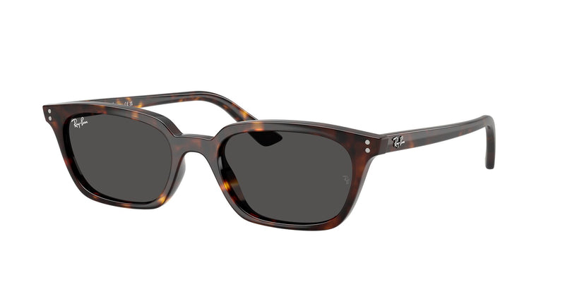 Load image into Gallery viewer, Ray-Ban RB4456 53 Unisex Sunglasses