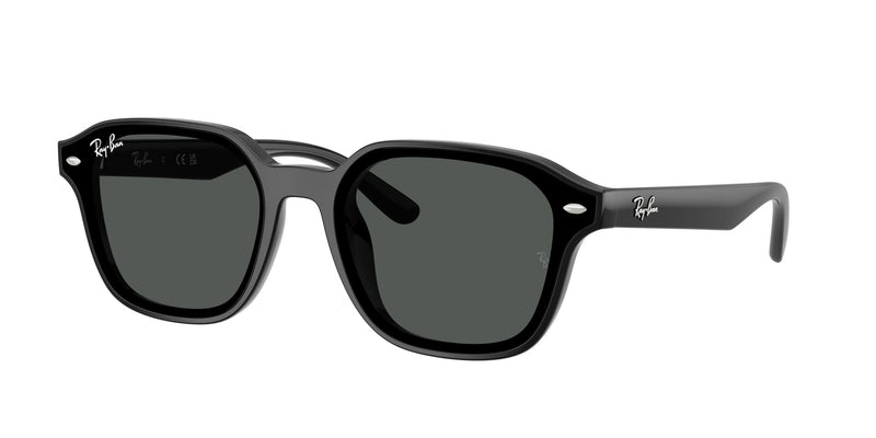 Load image into Gallery viewer, Ray-Ban RB4458D 65 Unisex Sunglasses
