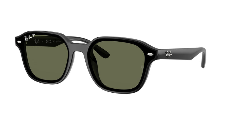 Load image into Gallery viewer, Ray-Ban RB4458D 65 Unisex Sunglasses