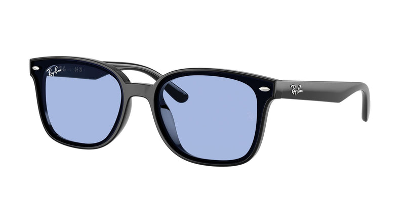 Load image into Gallery viewer, Ray-Ban RB4461D 64 Unisex Sunglasses