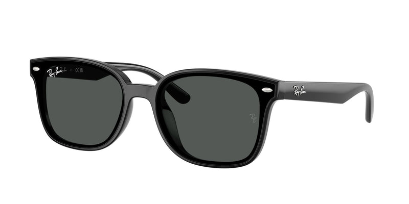 Load image into Gallery viewer, Ray-Ban RB4461D 64 Unisex Sunglasses