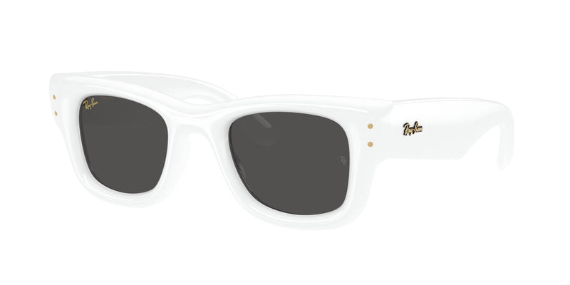 Load image into Gallery viewer, Ray-Ban RB4940 47 Unisex Sunglasses