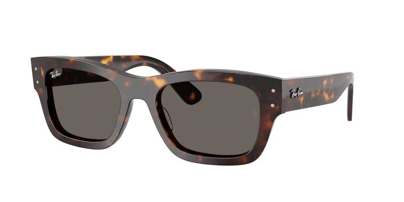 Load image into Gallery viewer, Ray-Ban RB7683S 55 Unisex Sunglasses
