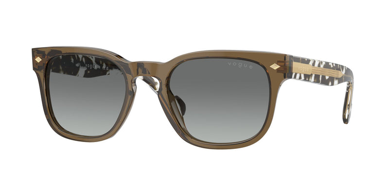 Load image into Gallery viewer, Vogue 0VO5571S 53 Gents Sunglasses