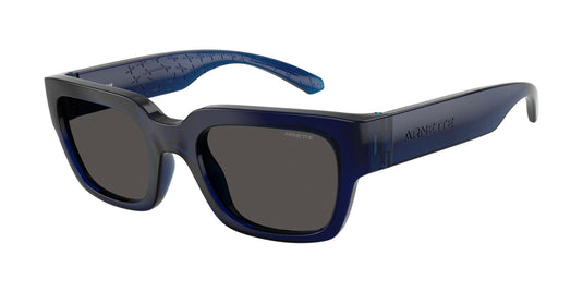 Arnette AN43  299087  In-Print Gents Sunglasses