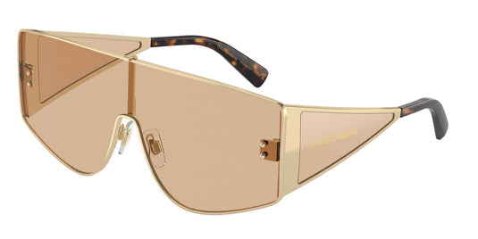 Dolce & Gabbana DG2305 13655A/44 Gents Sunglasses