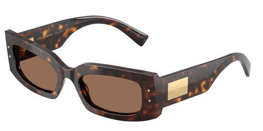 Dolce & Gabbana DG4479 502/73/55 Ladies Sunglasses