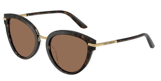 Dolce & Gabbana DG4492 321713/55 Ladies Sunglasses