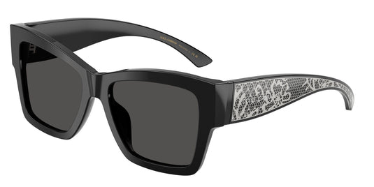 Dolce & Gabbana DG4493 501/87/55 Ladies Sunglasses