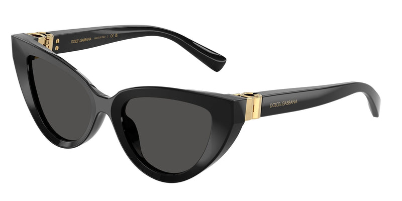 Load image into Gallery viewer, Dolce &amp; Gabbana DG4497 322113/52 Ladies Sunglasses
