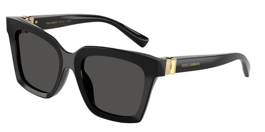 Dolce & Gabbana DG4498 34462L/55 Ladies Sunglasses