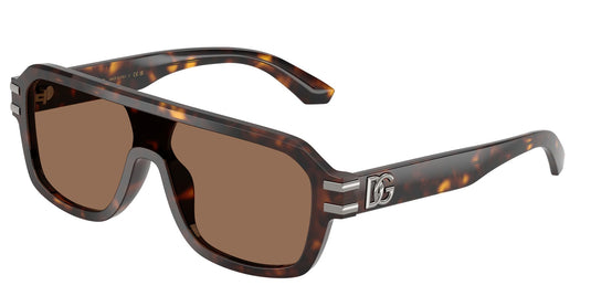 Dolce & Gabbana DG4507 25256G/27 Gents Sunglasses