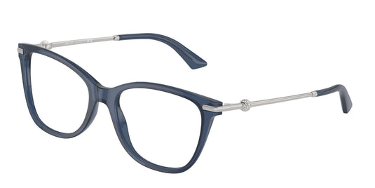 Jimmy Choo JC3007HB 500052 Ladies Frame