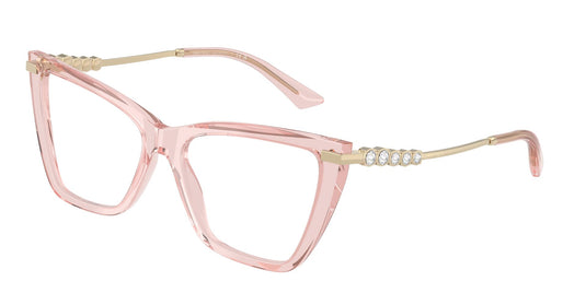 Jimmy Choo JC3020B 500053 Ladies Frame