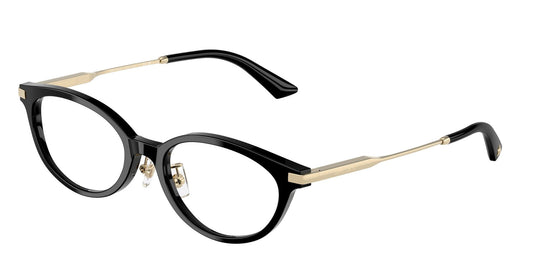 Jimmy Choo JC3029D 500052 Ladies Frame