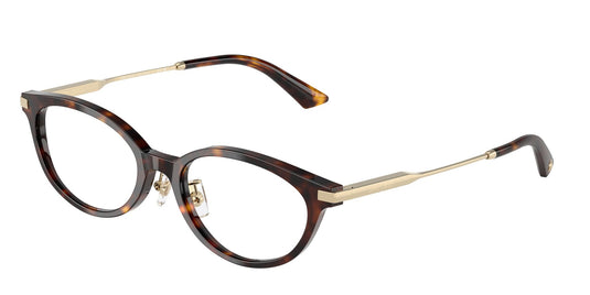 Jimmy Choo JC3029D 500052 Ladies Frame