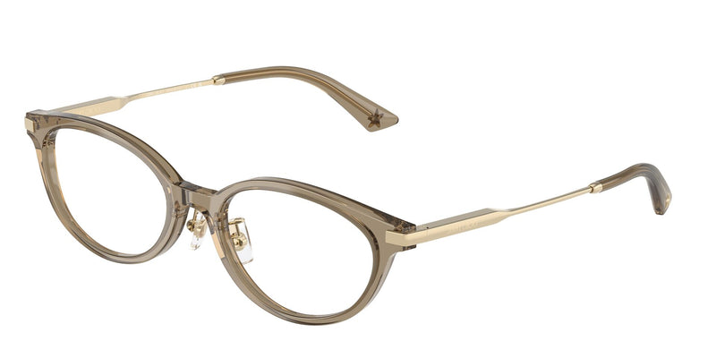 Load image into Gallery viewer, Jimmy Choo JC3029D 500052 Ladies Frame
