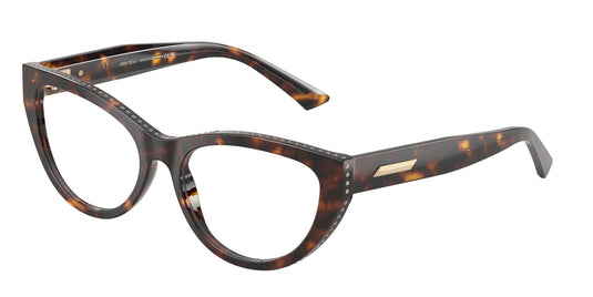 Jimmy Choo JC3030B 500053 Ladies Frame