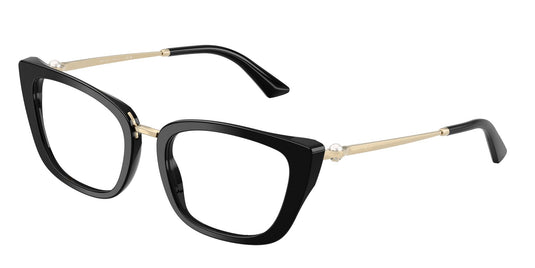 Jimmy Choo JC3034HB 500052 Ladies Frame