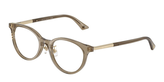 Jimmy Choo JC3039D 500048 Ladies Frame