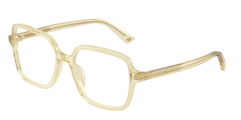 Load image into Gallery viewer, Jimmy Choo JC3046U 500053 Ladies Frame
