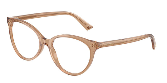 Jimmy Choo JC3047 507655 Ladies Frame