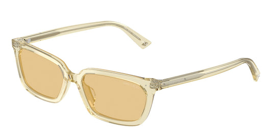 Jimmy Choo JC5050U 5083/855 Ladies Sunglasses