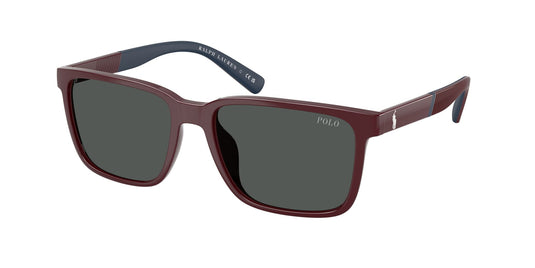 Ralph Lauren PH4189U 55 Gents Sunglasses