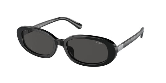 Ralph Lauren PH4198U 53 Ladies Sunglasses