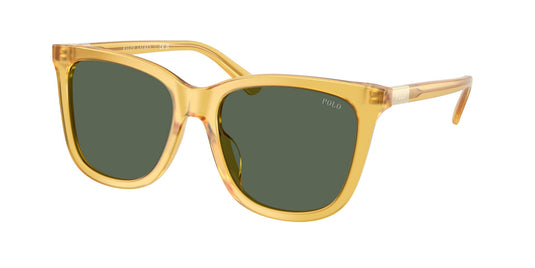 Ralph Lauren PH4201U 55 Ladies Sunglasses