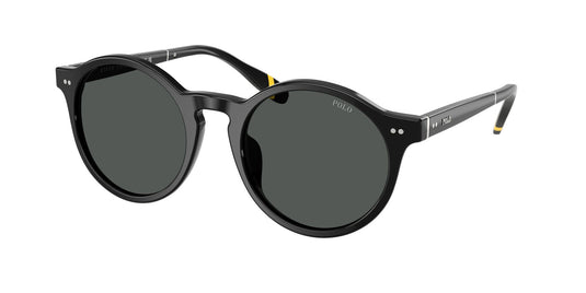 Ralph Lauren PH4204U 50 Gents Sunglasses